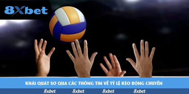 Khái quát sơ qua các thông tin về tỷ lệ kèo bóng chuyền 